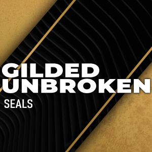 unbroken-gilded-title-boosting