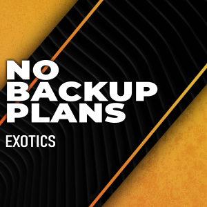 no-backup-plans-boosting