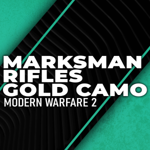 gold-marksman-rifles-boosting