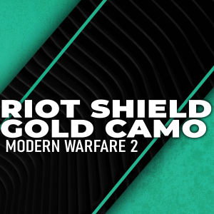 gold-riot-shield-boosting