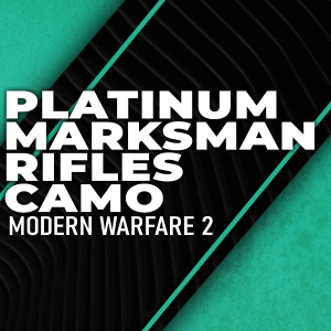 platinum-marksman-rifles-boosting
