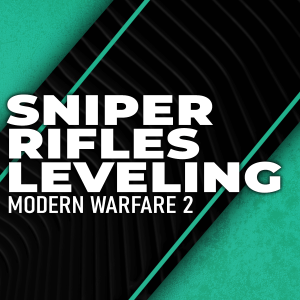 sniper-rifles-leveling-boosting
